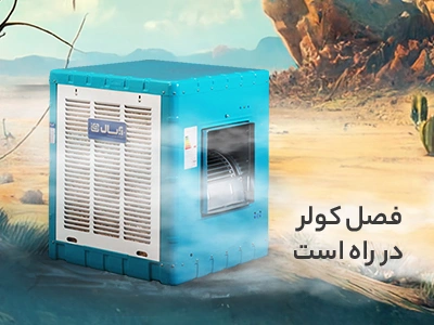 فروش ویژه آرایشی بهداشتی نارگیل
